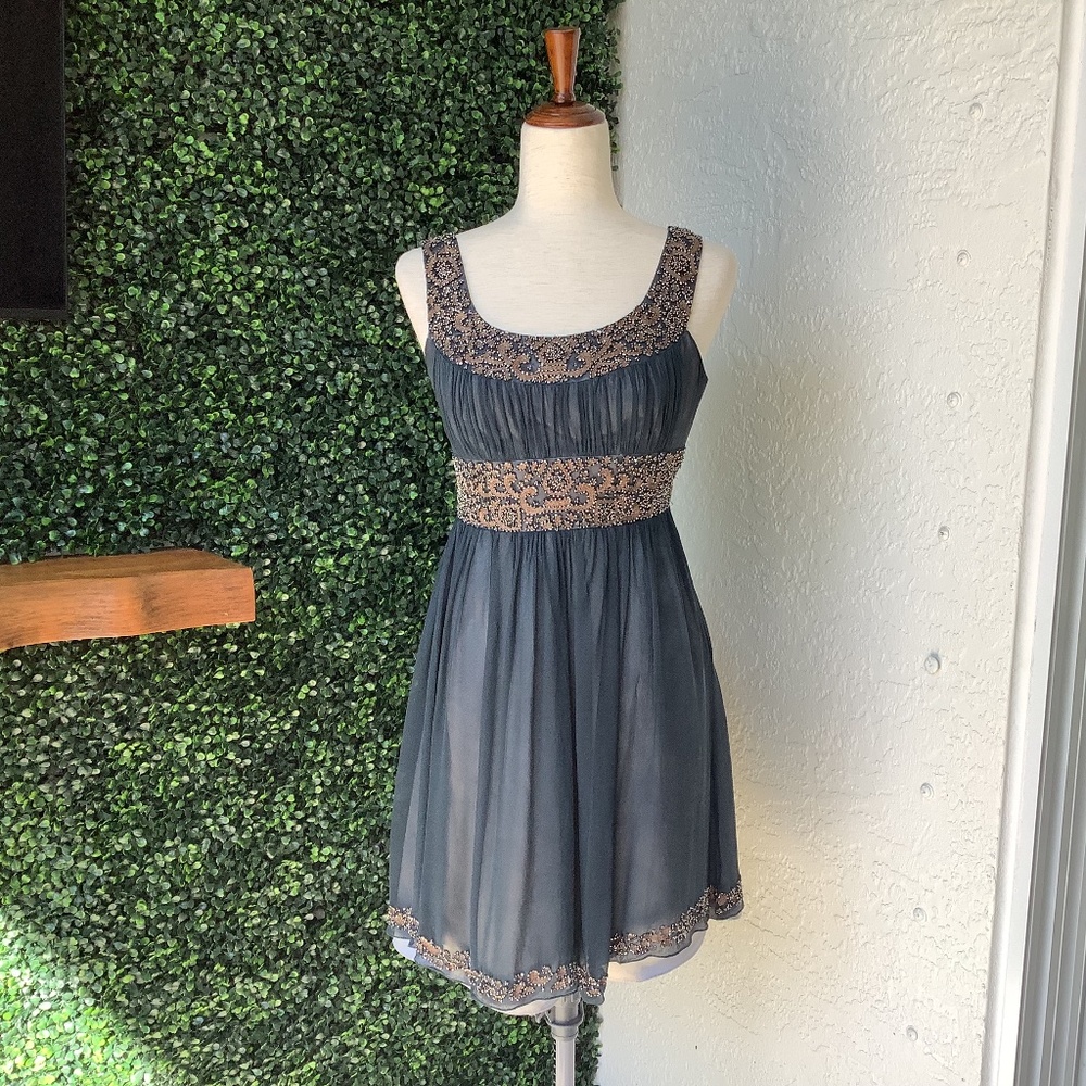 Adrianna Papell Silk Beaded Evening Dress, Size 2P